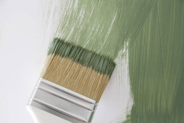 Best Attic Mold Removal  in Gambrills, MD