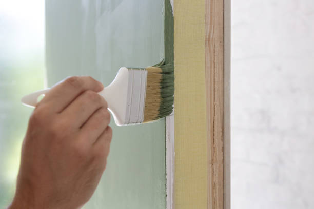 Professional Mold Removal in Gambrills, MD