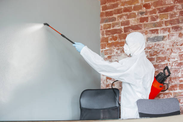 Best Airborne Mold Testing  in Gambrills, MD
