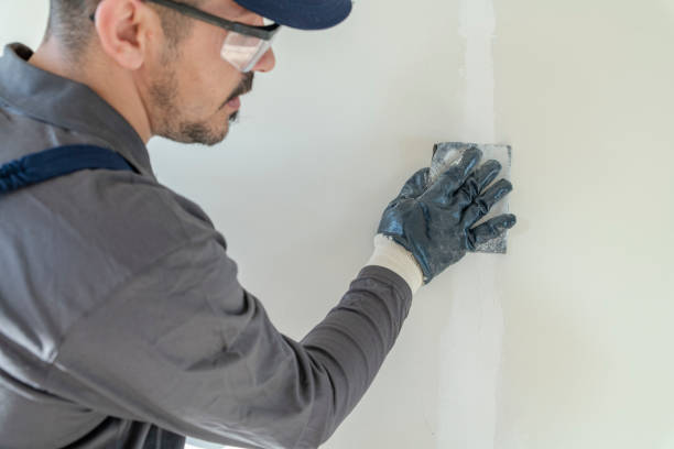 Best Forensic Mold Investigation  in Gambrills, MD