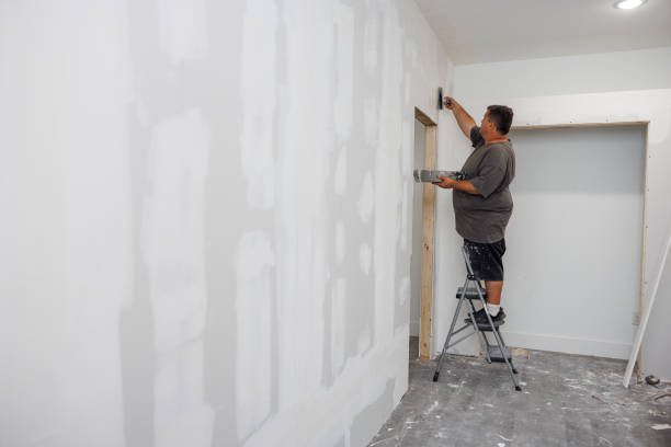 Best Black Mold Removal  in Gambrills, MD