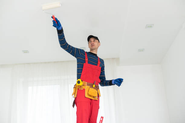 Best Water Damage & Mold Remediation  in Gambrills, MD